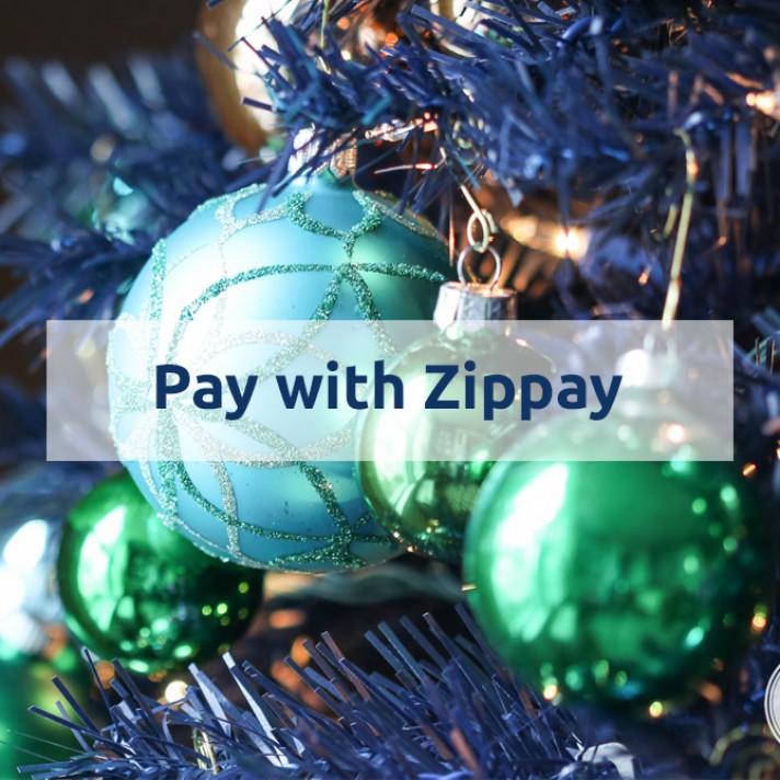 Pay With Zippay at Christmas Shop