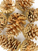 200g Large Gold Natural Pinecones With Glitter Tips