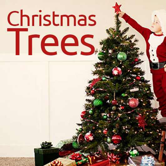 Christmas  Decorations  Christmas  Trees And Christmas  