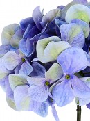 Blue With Green Hydrangea Floret Cluster Christmas Long Stem - 18cm Wide