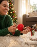 Assorted Red & Green Dog Spikey Ball Toy With Tug Rope