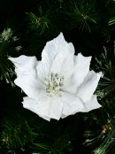 White Sequin & Fabric Petal Poinsettia Christmas Flower Stem Pick - 14cm Wide