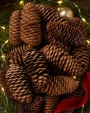Natural Raw Siberian Spruce Pinecones | 150g