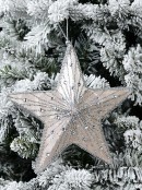 Silver Glitter & With Champagne Christmas Star Hanging Decoration - 19cm