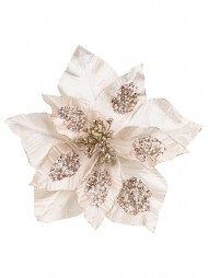 Code PICK2529