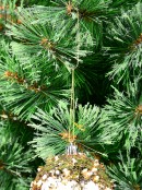 150x Gold Ornament Hooks | Multi Size Heavy Duty Tree Decoration Hangers