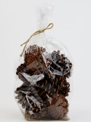 Natural Large Raw Pinus Pinecones | 250g