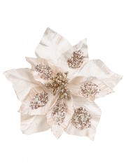 Code PICK2529