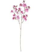 Pink Double-flowering Plum Inspired Christmas Flower Long Stem - 30cm Wide