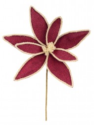 Code STEM2626