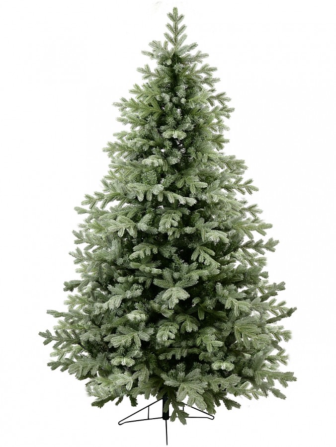 2.3m Alpine Mist Richmond River Spruce Christmas Tree | 1822 Awl Shape Tips