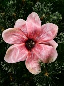 Pink Magnolia With Silver Decorative Christmas Flower Clip Pick - 18cm Wide