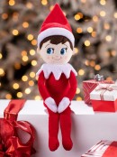 Assorted Blue Eyed Snuggler Boy Or Girl Elf On The Shelf Plushee Pals