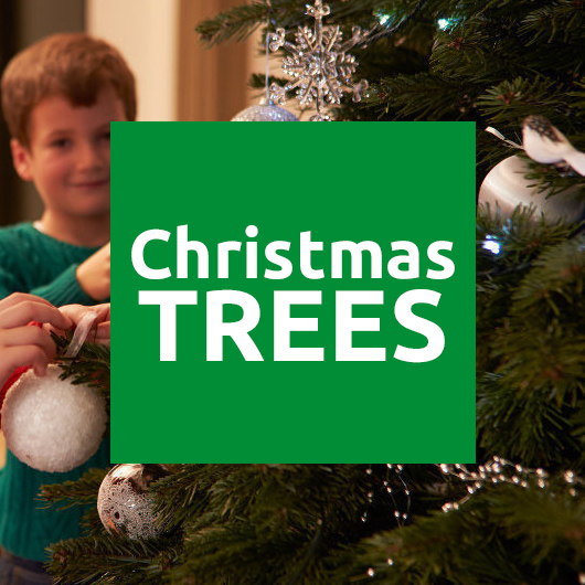 Christmas Trees Online