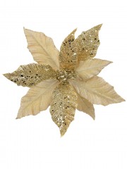 Code PICK2158