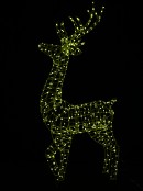 Rainbow Reindeer 3D Smart LED Outdoor Christmas Motif | 1.5m 17 Sequences