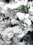 Antarctic Pine Heavily Flocked White Snow Christmas Tree with 745 Tips - 1.8m