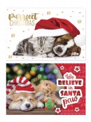 Cats & Dogs Design With Metallic Text Christmas Greeting Cards - 10 x 175mm