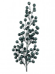 Code STEM2635