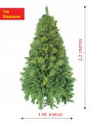 Virginia Pine Christmas Tree - 2.3m