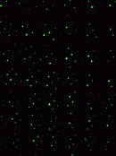 Red & Green Dot Starry Night Pattern Garden Laser Light - 12m X 12m