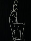 1.1m Chic Reindeer With Warm White Neon Flex Light Display