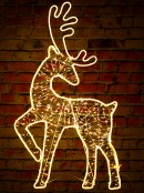 1m Reindeer With White LED String & Neon Flex Light Display