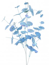Code STEM2524