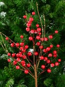 Red Berry & Branches With Frost Look Decorative Christmas Spray Stem - 68cm
