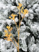 Anigozanthos Amber Velvet Kangaroo Paw Christmas Floral Spray Stem -76cm