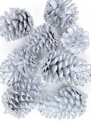 200g Large Silver Natural Pinecones With Glitter Tips