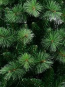 3m Weymouth Dual Leaf Christmas Tree | 2726 Tips & Hinged Branches