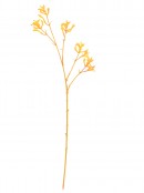 Anigozanthos Amber Velvet Kangaroo Paw Christmas Floral Spray Stem -76cm