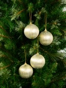 Spectacular Champagne Christmas Baubles With Gold Silk Thread - 8 x 75mm