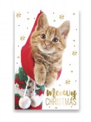 Cats & Dogs Design With Metallic Text Christmas Greeting Cards - 10 x 175mm