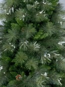 Siberian Cedar Pine Christmas Tree With 797 Tips - 1.8m