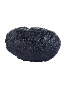 Naughty Boys & Girls Novelty Lump Of Coal - Certified by Santa!