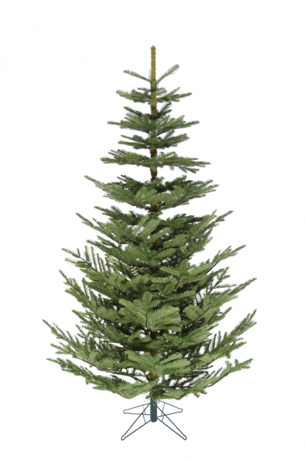 Illawarra Christmas Tree With 693 Tips - 1.8m