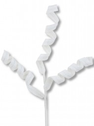 Code STEM2616