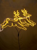 Santa Sleigh & Two Reindeers Rope Light Silhouette - 2.1m