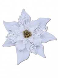 Code PICK2304