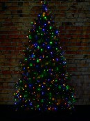 1000 Multi Colour LED 50m String Fairy Light