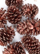 200g Large Copper Natural Pinecones With Glitter Tips