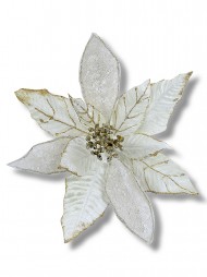 Code PICK2155