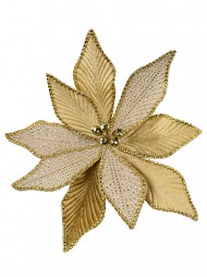 Code PICK2534