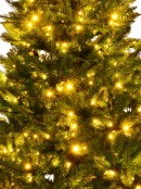 Warm White & Multi Colour Pre-Lit Christmas Tree With 728 Tips - 1.9m