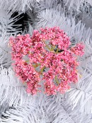 Pink Moon Carrot Inspired Christmas Flower Head Long Stem - 13cm Wide