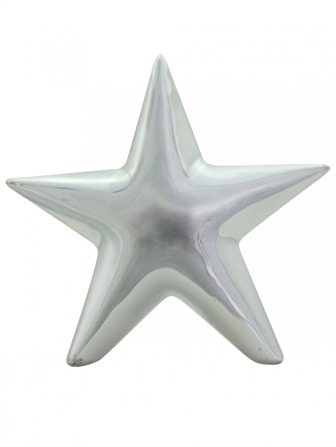 Shiny Winter Ceramic Star - 14cm