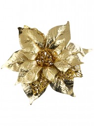 Code PICK2605