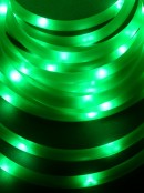 100 LED Green USB Snake Rope Light - 5m